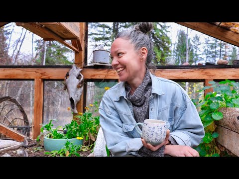 Escaping the Rat Race: My INCREDIBLE Journey to Rural Bliss & Self Sustainability