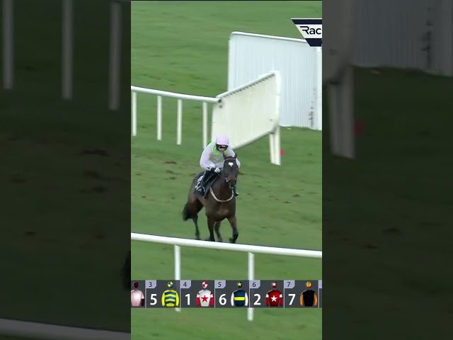 Thumbnail for Post ID: gqgD6k5HAfw