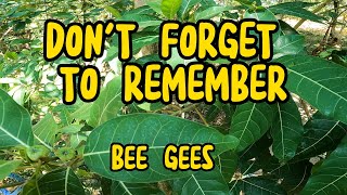 Download lagu Don't Forget To Remember Me / Bee Gees / Lyrics mp3