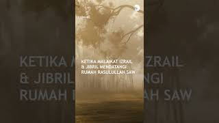 Download lagu Ketika Malaikat Izrail & Jibril Mendatangi Rumah Rasulullah SAW mp3 Download lagu Ketika Malaikat Izrail & Jibril Mendatangi Rumah Rasulullah SAW mp3