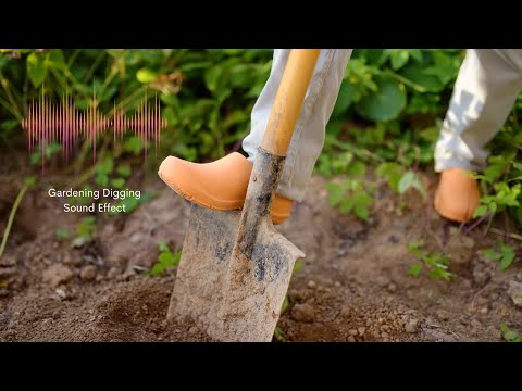 Gardening Digging - Sound Effect