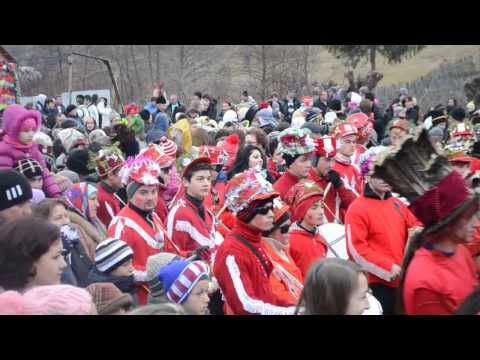 Ursii din Bratesti - Comuna Barsanesti 2014 - 4
