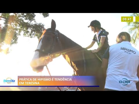 Prática de hipismo se torna tendência em Teresina 03 02 2021