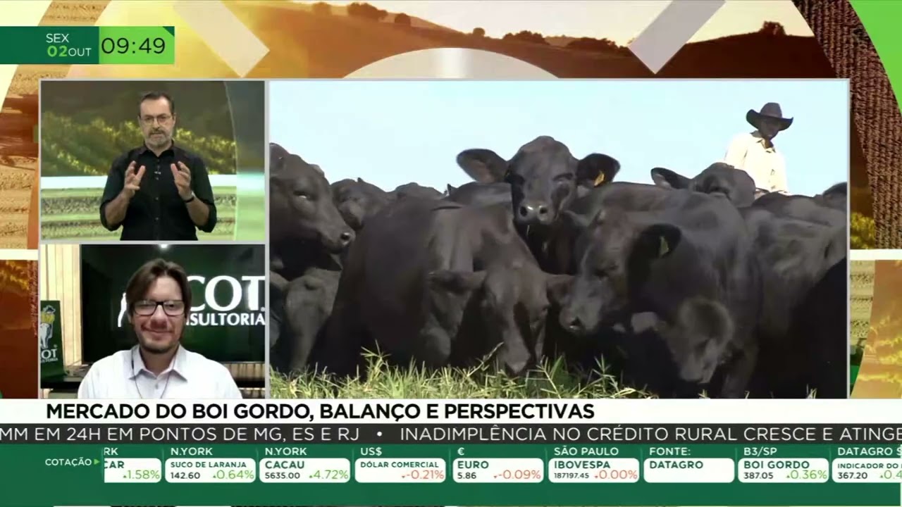 Boi gordo: cotações encerram a semana com movimentações no mercado
