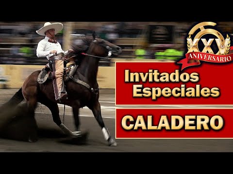 Special Guests Fishing Ground Part 2 - 2022 THV Millionaire Championship