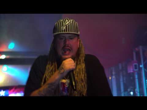 Whitegold Live in St Pete, FL 7/12/17