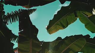 Download lagu simenatik/cinematic story wa || good morning mp3 Download lagu simenatik/cinematic story wa || good morning mp3