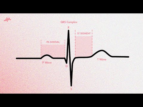 The Cardiac Cycle on an EKG (P-QRS-T Waves)