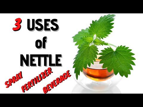 , title : '☑️ 3 Uses of Nettle 🍵 3 τρόποι να χρησιμοποιήσεις την τσουκνίδα'