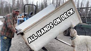 More cabin bathroom build - Trading a scrub brush for fried apples, WINNING! - Homesteading Alaska