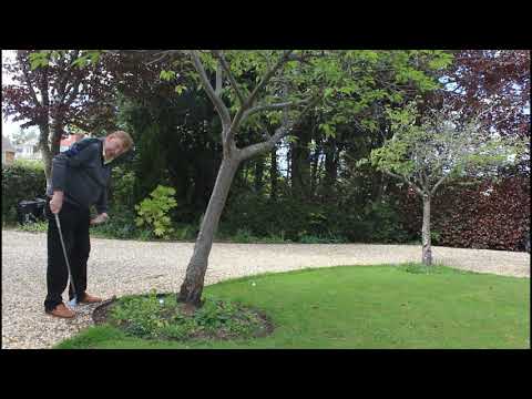 Saving Strokes: Abnormal Strokes