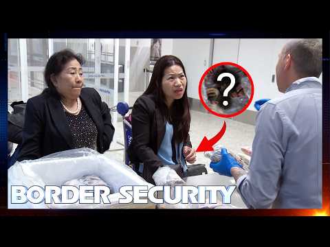 Border Security Australia 1.5 Hour Marathon | Season 14: Episodes 14 - 17