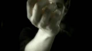 Alacrán Music Video