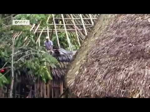 Global 3000 | Wie nachhaltiger Tourismus den Regenwald