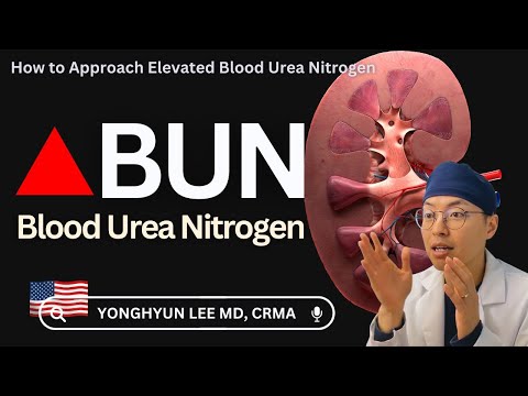 How to Approach Elevated Blood Urea Nitrogen (BUN)