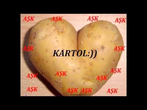 Erzurum Halayları 2016