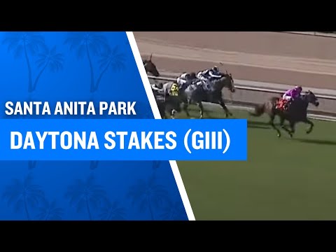 2025 $100,000 Daytona Stakes (G3)