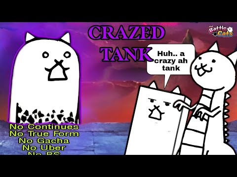 The Ultimate Crazed Tank Guide | No Gacha (Battle Cats)