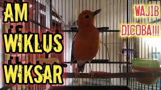 Download lagu Cukup 5 menit, AM Bahan MACET akan aktif ngriwik | Anis Merah ngriwik Kasar mp3 Download lagu Cukup 5 menit, AM Bahan MACET akan aktif ngriwik | Anis Merah ngriwik Kasar mp3