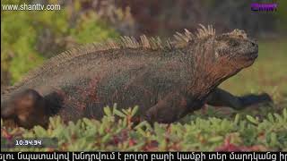 Առավոտը Շանթում/Aravot Shantum - 23.04.2020