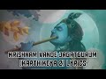 Krishnam Vande Jagatgurum Karthikeya 2 Lyrics AbhishekAgarwalArts Zeemusiccompany