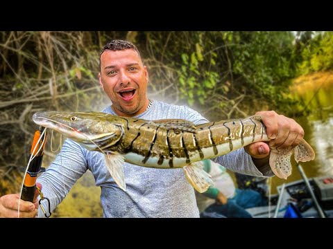 SERÁ QUE PEGUEI O MAIOR PEIXE? ( a equipe que mais pegou peixe).