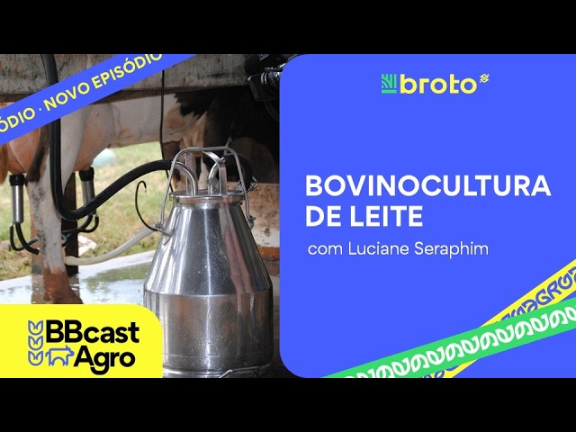 Leite: preços firmes, custos em queda e déficit na balança comercial | BBCast Agro - 13/08/2026