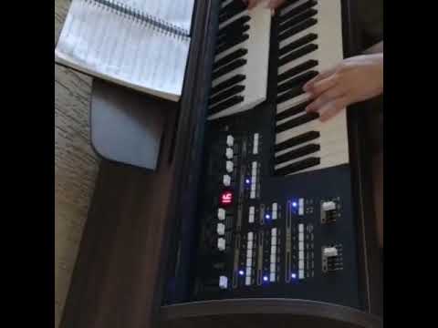 Órgão Eletrônico Acordes 2d Premium