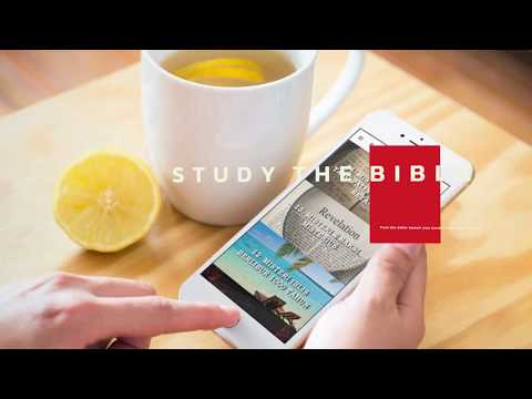 THYPromise Community video thumbnail