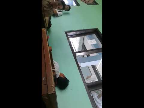 87 dihipnotis ke Bali