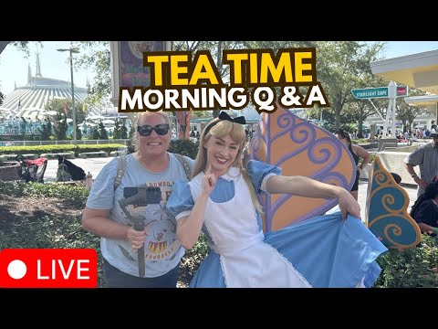 Live webcam of Disney Parks with Love