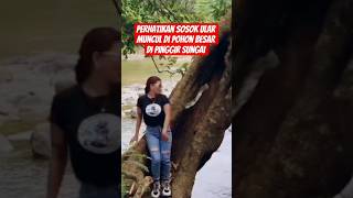 Download lagu Perhatikan sosok ular muncul di pohon besar di pinggir sungai #misteri #ular #horror #ghost #harimau mp3