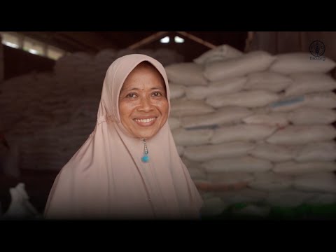 Tackling antimicrobial resistance in livestock: the Impact of good husbandry practices in Indonesia