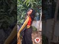 கருப்பு புடவையில் அழகாய் ஜொலிக்கும் 