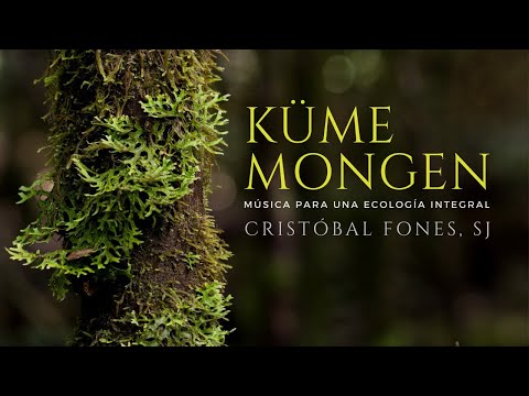 Disco Küme Mongen (Cristóbal Fones, SJ) Música de meditación