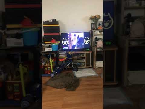 squats chest and tris back and bis batdad vines