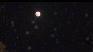 #キスシーン #キス  #キスシーン ドラマ激しい Part #8