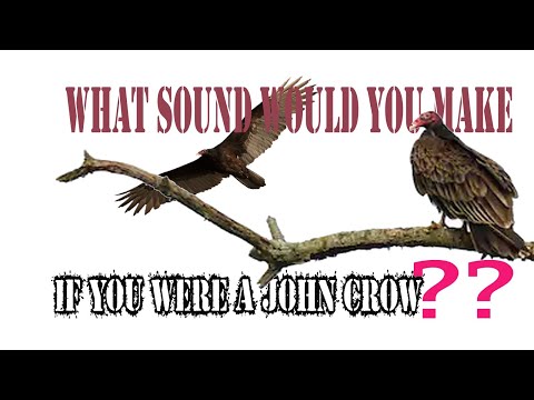 Jancro (John Crow) Sound
