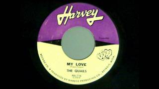 Never Felt Like This Before Quails 1962 Harvey 45 HA 116 B