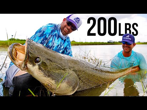 Fishing for 200lb Pond Monsters in Florida