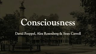 Consciousness: David Poeppel et al