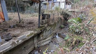 被害者の同僚悲痛「トラブルに遭う人じゃない」　東大阪の切断遺体