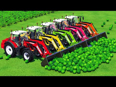 HARVEST, LOAD & TRANSPORT WATERMELONS WITH FENDT TRACTORS - Farming Simulator 2022