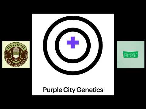 Episode 110ft Purple City Genetics - The Pot Cast