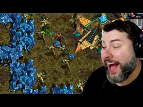 opponent calls gg after 1 probe zapped