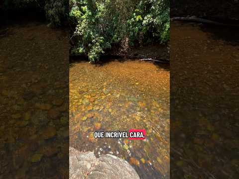 Um rio lindo em Pirenópolis #pirenopolis #goias #viagem