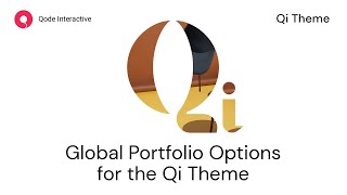 Introducing the Qi Theme Portfolio Options