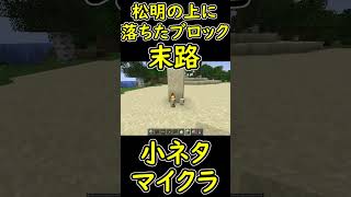 松明の上に落ちたブロックの末路　【マイクラ/マインクラフト】 #shorts