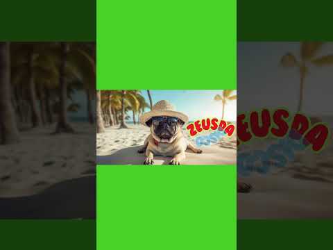 Kevin McKay, DJ Mark Brickman - Comin' Home Baby (David Penn and KPD Extended Remix)#housemusic