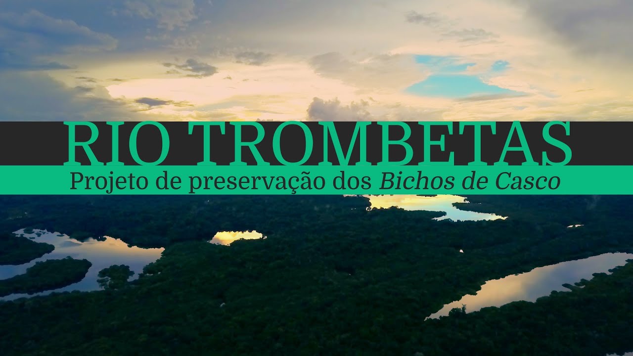 Como o projeto Quelônios do Rio Trombetas ajuda na conservação da tartatuga-da-Amazônia